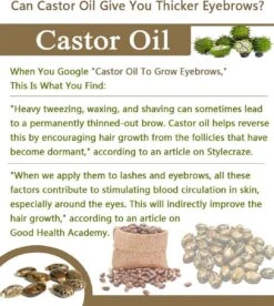 Your Beauty Tree ® Wimper Serum Met Echte Castor Olie |100% Natuurlijke Wimpergroei| Castor Oil Eyelash Serum|Wonder Olie | Wimper Groei | Wenkbrauw Serum | Lash Serum | Wimper Groeimiddel -Maquillage Cosmetics 1075x1200 4