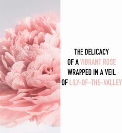 Dior Miss Dior - 100 Ml - Eau De Toilette -Maquillage Cosmetics 1103x1200 10