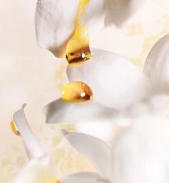 Dior J'adore 30 Ml - Eau De Parfum - Damesparfum -Maquillage Cosmetics 1110x1200 17