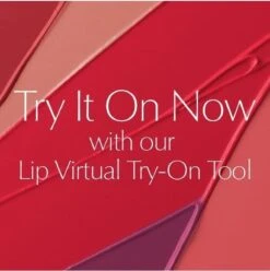 Estée Lauder Pure Color Envy Sculpting Lipstick - 340 Envious -Maquillage Cosmetics 1193x1200 11