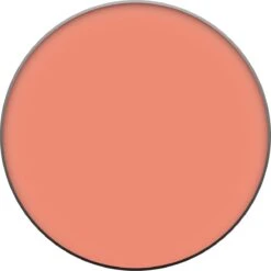 L’Oréal Paris True Match - 160 Pêche - Blush -Maquillage Cosmetics 1199x1200 11