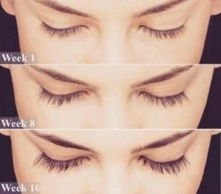 Lanthome Wimperserum - Met Castor Olie -Maquillage Cosmetics 1200x1056 4