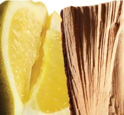 L'homme Cologne Bleue By Yves Saint Laurent 60 Ml - Eau De Toilette Spray -Maquillage Cosmetics 1200x1114 17