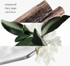 Hermes H24 Eau De Toilette Spray 50 Ml -Maquillage Cosmetics 1200x1133 11