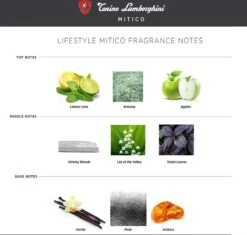 Tonino Lamborghini Lamborghini - M¡tico - Eau De Toilette - 125ML -Maquillage Cosmetics 1200x1141 21