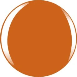 L’Oréal Paris Color Riche Le Vernis - 303 Lush Tangerine - Oranje - Nagellak -Maquillage Cosmetics 1200x1197 65