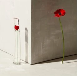 Kenzo Flower 30 Ml - Eau De Parfum - Damesparfum -Maquillage Cosmetics 1200x1197 90