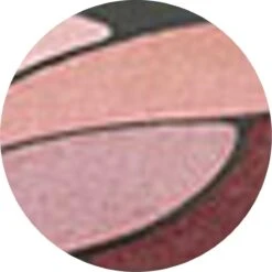 L’Oréal Paris Color Riche Les Ombres Quad - E6 Eau De Rose - Oogschaduw -Maquillage Cosmetics 1200x1199 13