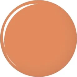 Pink Gellac - Nude Orange - Gellak - Vegan - Oranje - Glanzend - 15ml -Maquillage Cosmetics 1200x1199 21