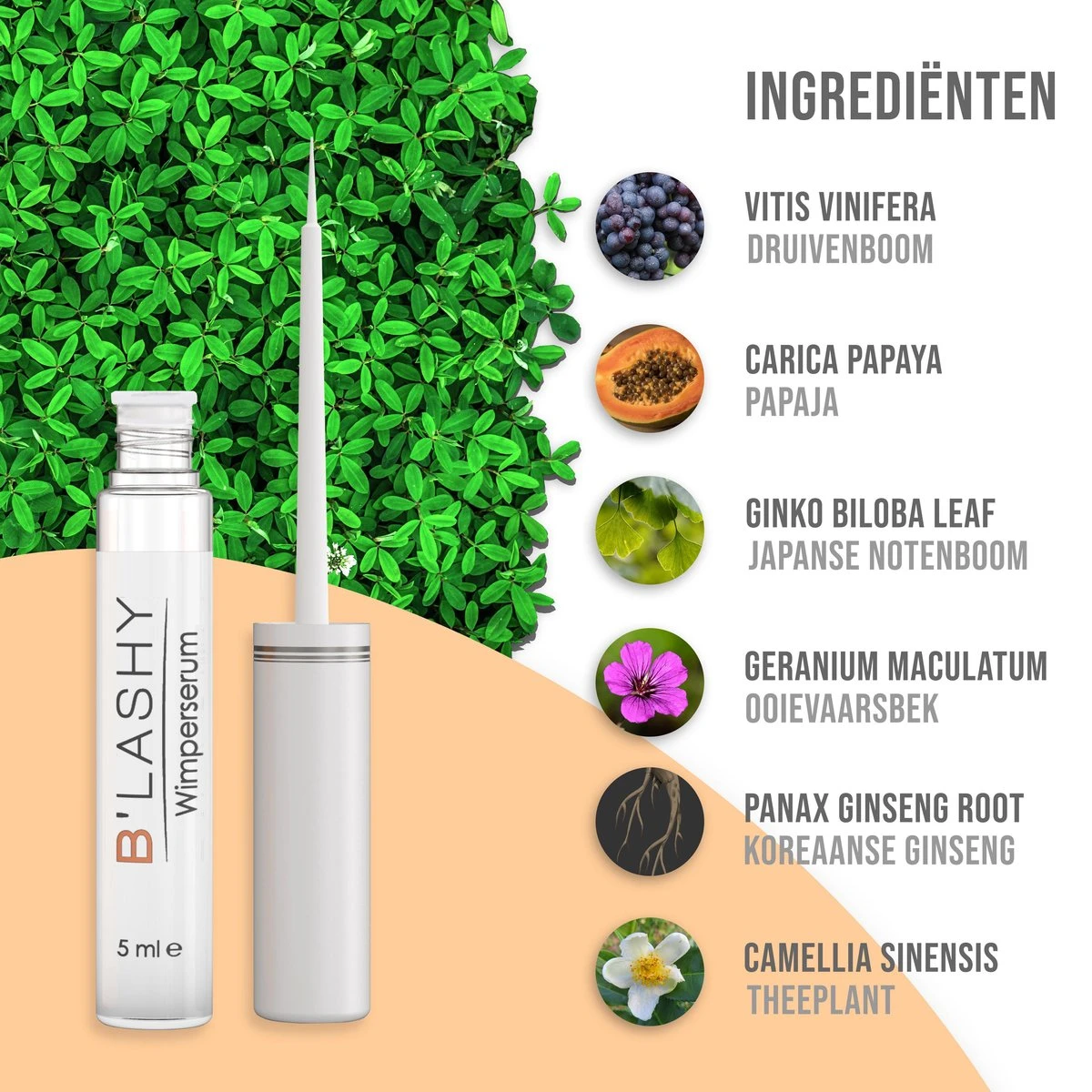 B’LASHY® Wimperserum - Wimper Groeimiddel - Wimper Serum Voor Sterke, Lange En Volle Wimpers - 5 Ml 4 B’LASHY® Wimperserum - Wimper Groeimiddel - Wimper Serum Voor Sterke, Lange En Volle Wimpers - 5 Ml – Image 2