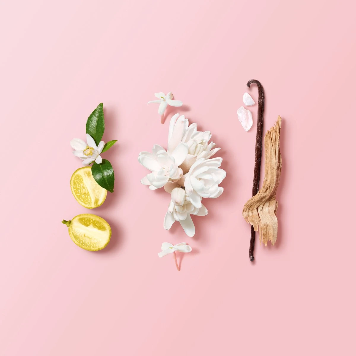 Giorgio Armani My Way Eau De Parfum Refill -150 Ml 7 Giorgio Armani My Way Eau De Parfum Refill -150 Ml – Image 5