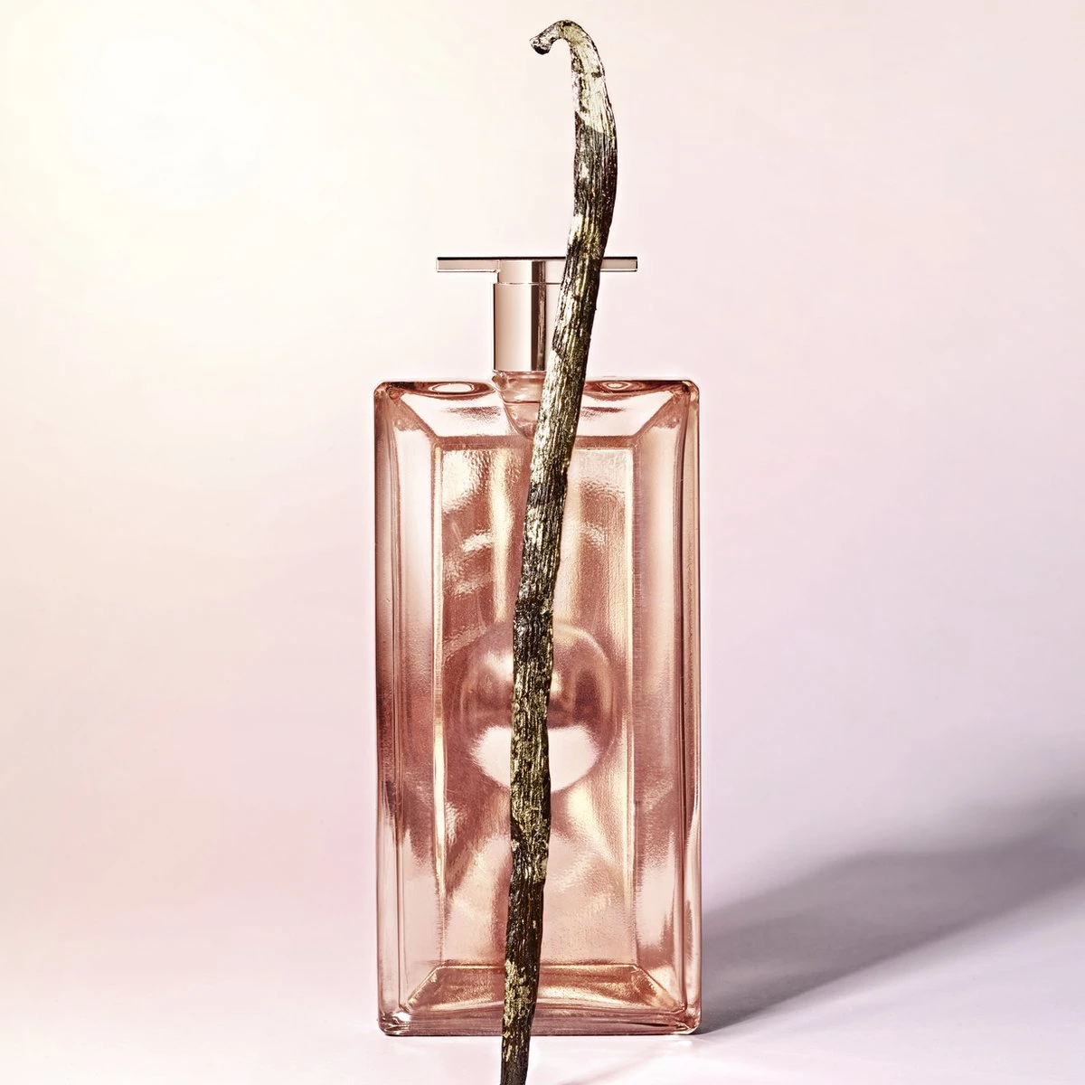 Lanc“me - Id“le L'Intense - 50 Ml - Eau De Parfum 7 Lanc“me - Id“le L'Intense - 50 Ml - Eau De Parfum – Image 5