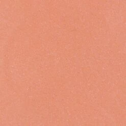 Blèzi® Lip Fix 10 Blissful Pink - Lipstick - Lippenstift Langhoudend - Roze Perzik -Maquillage Cosmetics 1200x1200 879