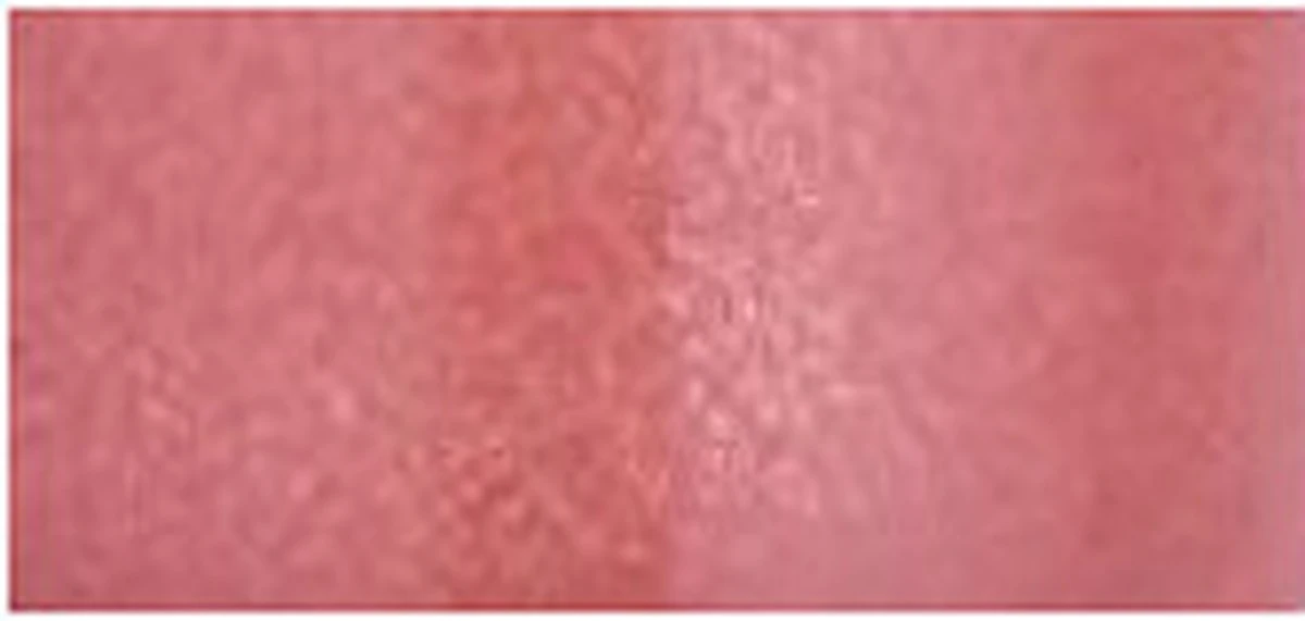 Bourjois Gloss Fabuleux Lipgloss - 4 Popular Pink 12 Bourjois Gloss Fabuleux Lipgloss - 4 Popular Pink – Image 10