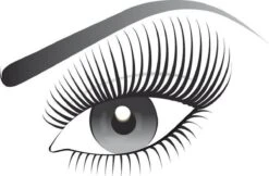 L’Oréal Paris False Lash Superstar Red Carpet Mascara - Zwart -Maquillage Cosmetics 1200x787 2