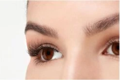 Ardell - Nepwimpers Multipack - Zwart - 5 Sets -Maquillage Cosmetics 1200x802 8