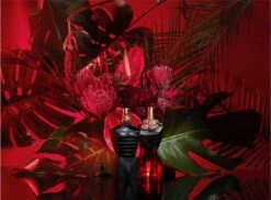 Jean Paul Gaultier - La Belle Le Parfum Eau De Parfum Intense - 100 Ml -Maquillage Cosmetics 1200x883 7