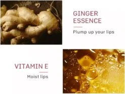 Natuurlijke Lip Plumper | Plumping | Vollere Lippen In 2 Min | Lip Vergroter| Lip Maximizer | Gember Extract & Vitamine E 19 Natuurlijke Lip Plumper | Plumping | Vollere Lippen In 2 Min | Lip Vergroter| Lip Maximizer | Gember Extract & Vitamine E -Maquillage Cosmetics 1200x903 1