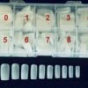 Nagel Tips In Box - 500 Stuks -per Maat 50 Stuks - Kleur Naturel -kunstnagels - Acryl Nagels - Gel Nagels -polygel Nagels -Maquillage Cosmetics 1200x933 42