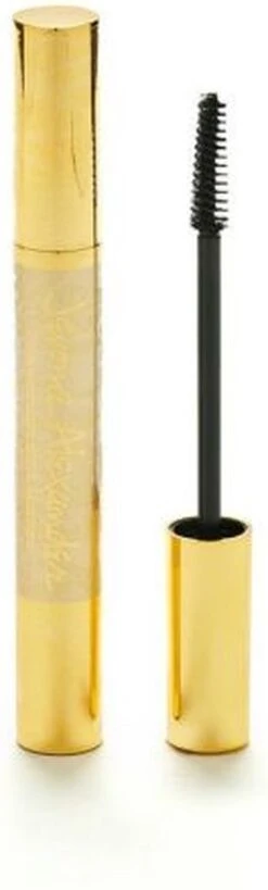 Magic Minerals Powder Foundation By Jerome Alexander + Mascara -Maquillage Cosmetics 362x1200 8