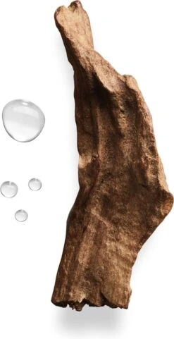 Giorgio Armani Acqua Di Gio Absolu 75ml - Eau De Parfum - Herenparfum 36 Giorgio Armani Acqua Di Gio Absolu 75ml - Eau De Parfum - Herenparfum -Maquillage Cosmetics 616x1200 5