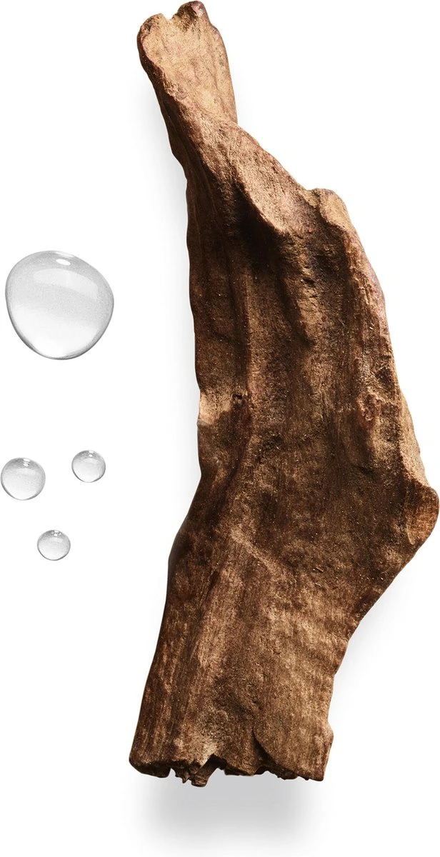 Giorgio Armani Acqua Di Gio Absolu 75ml - Eau De Parfum - Herenparfum 17 Giorgio Armani Acqua Di Gio Absolu 75ml - Eau De Parfum - Herenparfum – Image 15