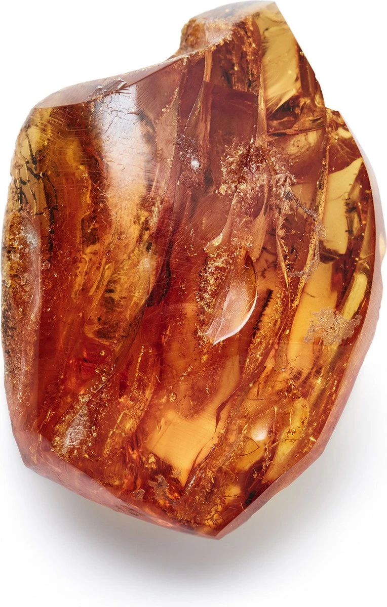 Giorgio Armani Acqua Di Gio Absolu 75ml - Eau De Parfum - Herenparfum 14 Giorgio Armani Acqua Di Gio Absolu 75ml - Eau De Parfum - Herenparfum – Image 12