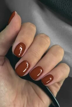 De Sera Gellak 6-delige Set - Gel Nagellak - Herfstkleuren - Herfst - 10ML - Born In Autumn -Maquillage Cosmetics 807x1200 13