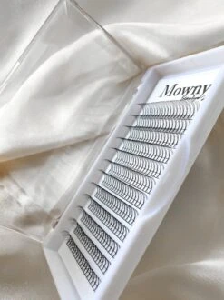 Mowny Beauty - Wimperextensions - 3D Premade Fans - 11mm 0,10mm D-krul - Natuurlijke Wimperextensions - Russisch Volume -Maquillage Cosmetics 899x1200 20